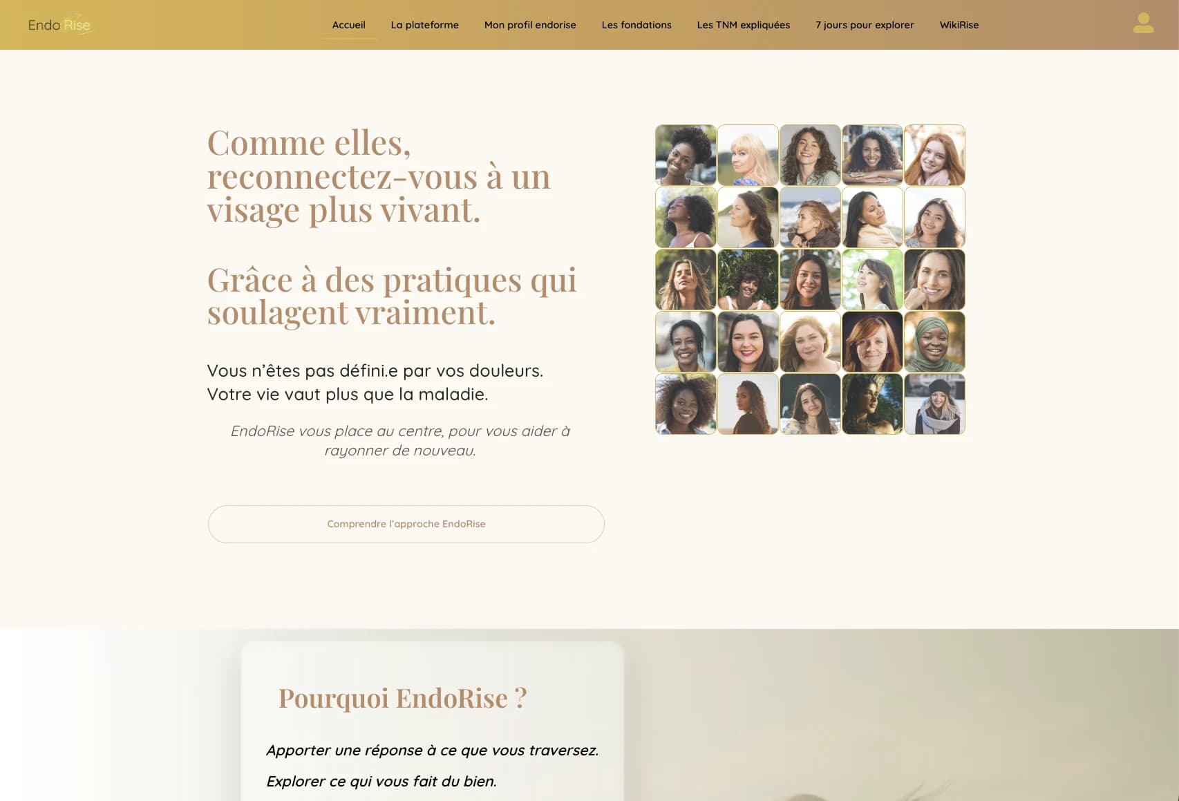 EndoRise Avant